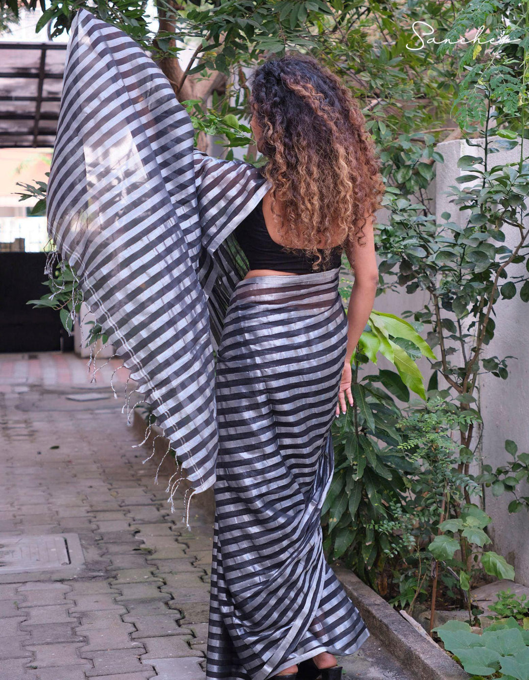 Silver Zebra Saree